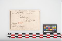Etikett zu Bronzeknopf (NHMW-PRAE-025932)